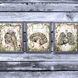 Anatomy Prints set of 3, Brain, Lung and Heart Anatomy Medical Poster, Med Student Graduation Gift, Medical Decor for Doctor Office