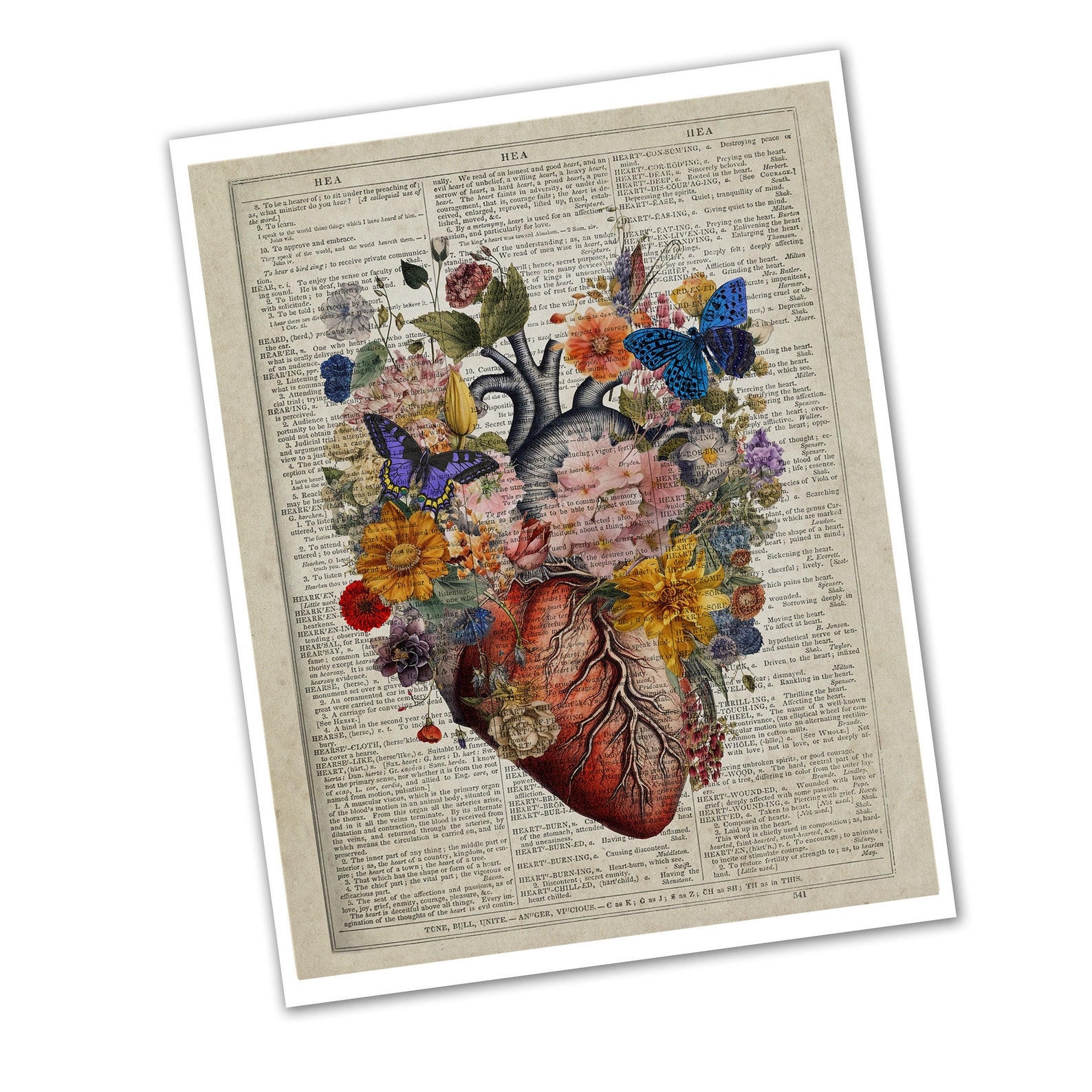 Floral Heart Anatomy Art Print, Dictionary Page, Cardiologist Gift - Etsy