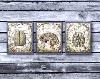 Brain Anatomy Flower Art Prints, Medical Decor Set of 3