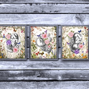 Pregnancy Womb Anatomy Art set of 3 Unframed Decor Art Prints Obstetrics and Gynecology gifts, Manifesting Fertility Wall Decor