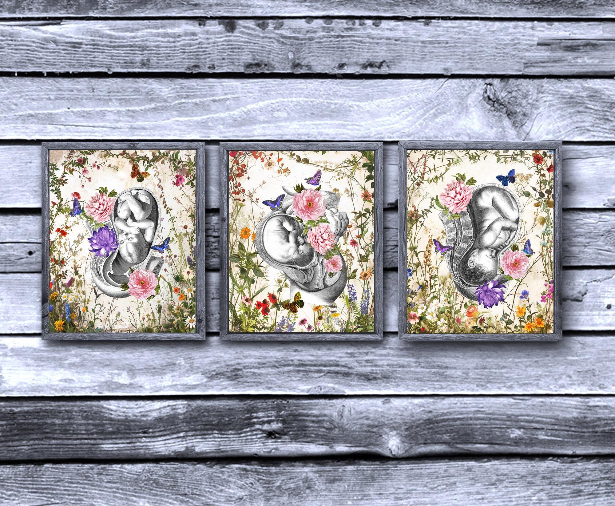 Pregnancy Womb Anatomy Art Prints: Vintage Floral Obstetrics Decor Set