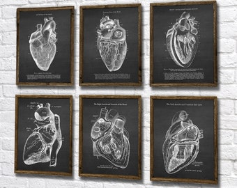 May include: Set of six vintage anatomical heart illustrations on a black chalkboard background. Each illustration shows a different view of the human heart with detailed labels.