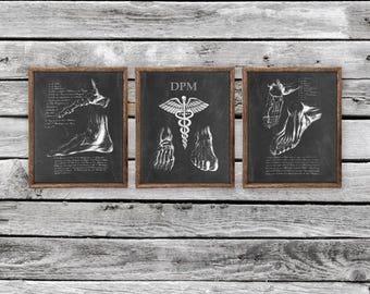 Stampe artistiche di anatomia del piede – Decorazione murale per clinica podologica, set di 3