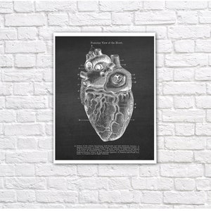 Anatomy of Human Heart Set of 6 Unframed Decor Art Prints Gift for ...