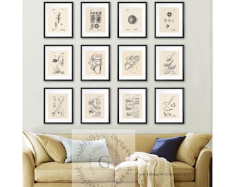 Op de afbeelding: Een collage van 12 zwart ingelijste prints van vintage golf-gerelateerde patenttekeningen. De prints zijn gerangschikt in een rasterpatroon op een witte muur boven een beige bank. De prints bevatten illustraties van golfclubs, golfballen en golftassen.