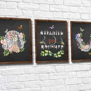 RDA Registered Dental Assistant Gift Anatomy Flower Art Human Teeth Decor Prints Set of 3 unframed wall art