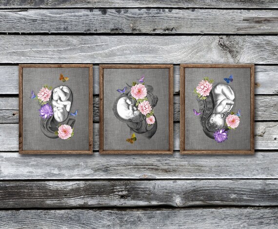 OBGYN Obstetrics Anatomy Floral Art Set of 3 Unframed Decor - Etsy