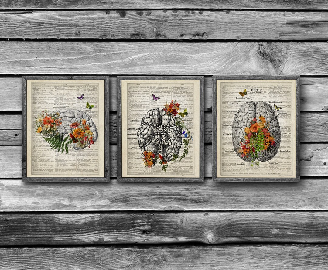Brain Anatomy Flower Prints Set, Vintage Medical Art - Etsy Australia