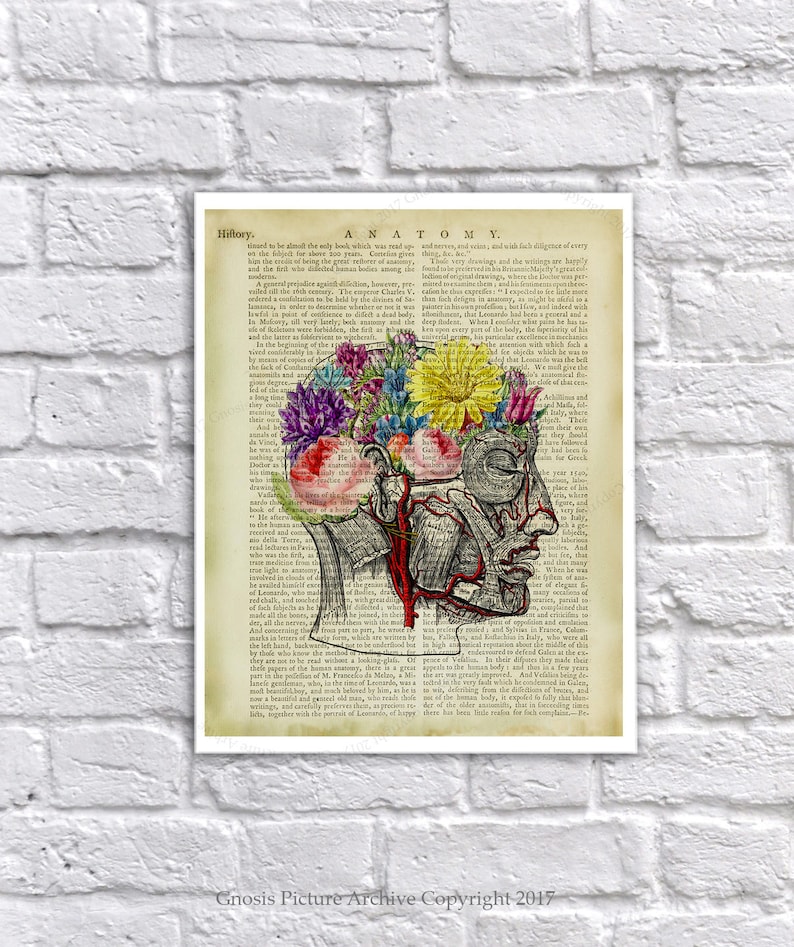Floral Brain Anatomy Art Print – Vintage Textbook Page Collage - Etsy