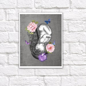 OBGYN Obstetrics Anatomy Floral Art Set of 3 Unframed Decor Art Prints ...