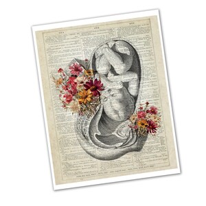 Pregnant Woman Anatomy Art Print, OB/GYN Office Decor - Etsy