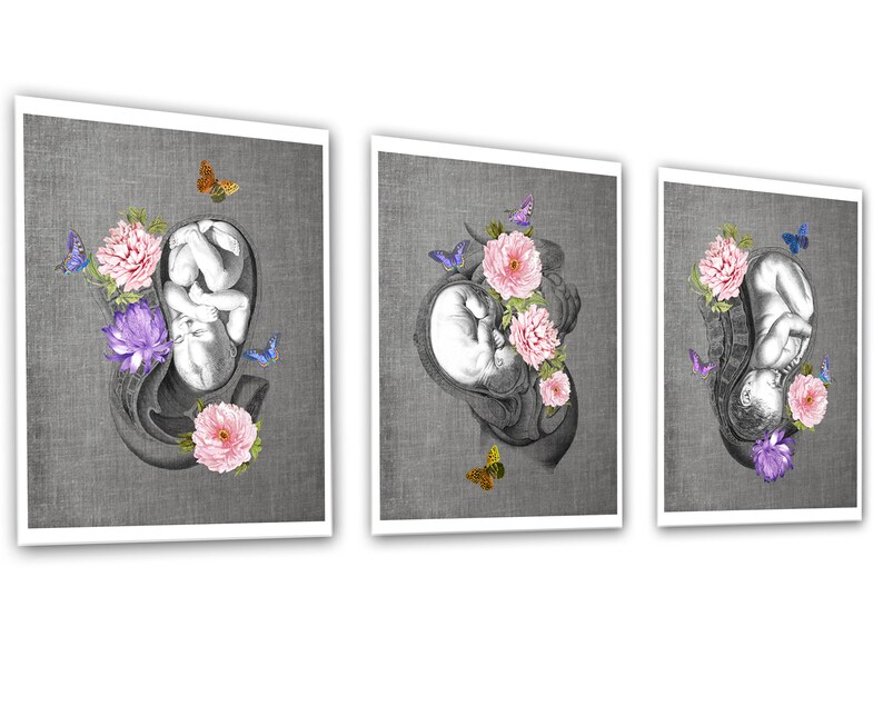 OBGYN Obstetrics Anatomy Floral Art Set of 3 Unframed Decor Art Prints ...