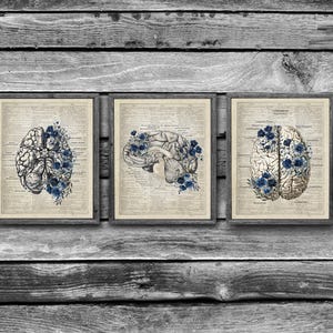 May include: Three vintage-style prints of a human brain with blue flowers. The prints are framed in black and have a white background.