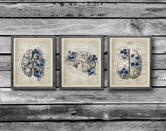 Brain Anatomy Art Prints, Blue Flowers, Medical Wall Decor, Set of 3