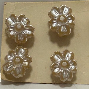 8 Cream Pearl Glass 11mm 1950s Decorative Buttons Original Vintage Deadstock NBGD0312