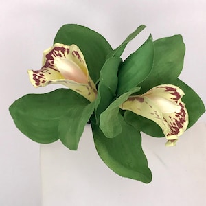 Olive Green Double Cymbidium Orchid Pin Up Hair Flower Clip