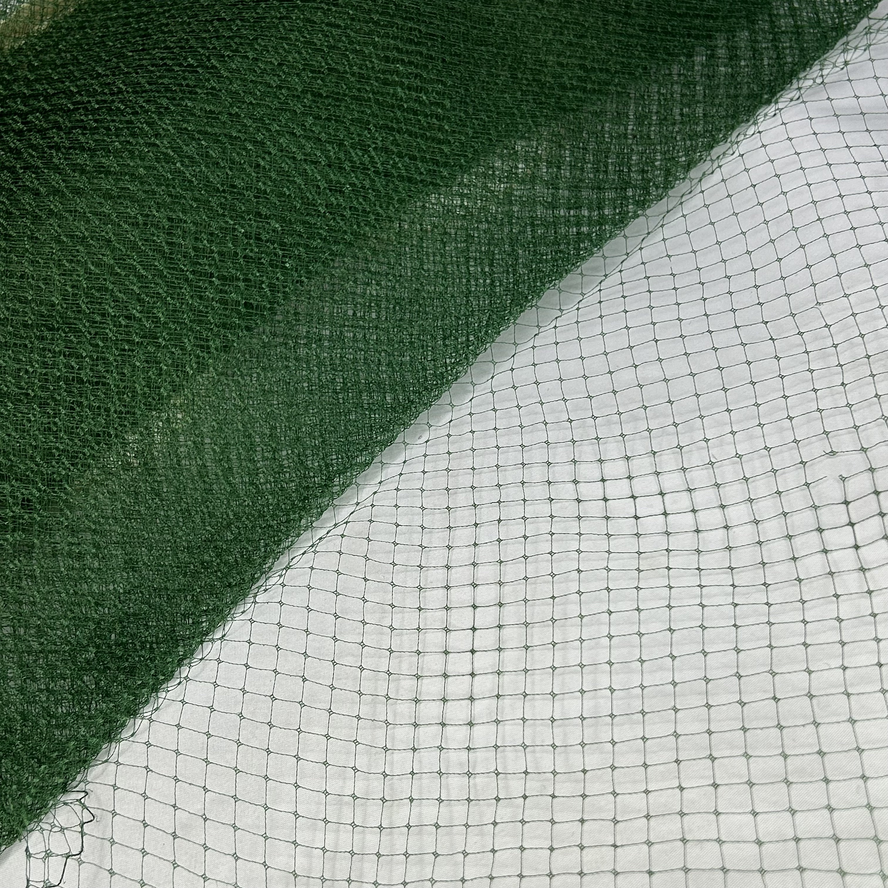 Fine patterns of silk hint at hidden desires