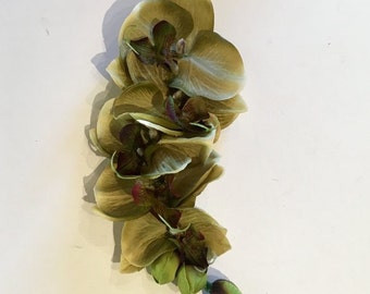 Vert Phalaenopsis Orchidée Cascade Tête Pièce Pin Up Cheveux Fleur
