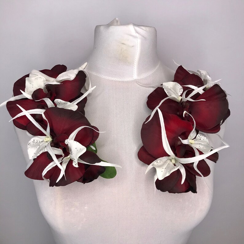 Limited Edition Burgundy Red New life with Dres Fresno Mall Orchid Phalaenopsis White
