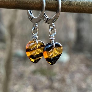 May include: A pair of leverback earrings with leaf-shaped pendants. The pendants are amber-colored with black stripes and leaf vein details. The earrings are suspended from silver-colored hoops.