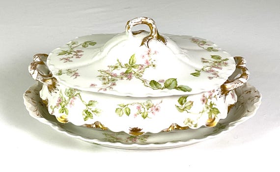 Joseph Haviland and Co- Limoges . Porcelain Art Nouveau, Covered
