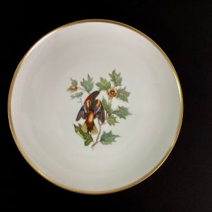 German Hutschenreuther - Aububon Baltimore Oriole porcelain platter
