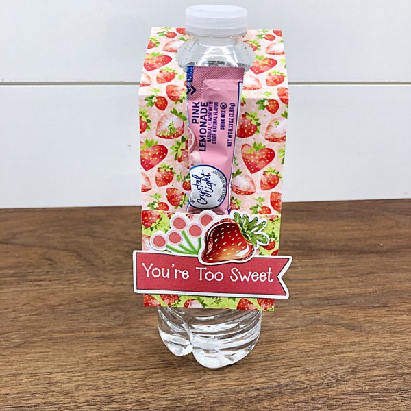 Assorted Water Bottle Drink Tags With Pocket for Powdered Drink Mix, Teacher Gift Idea, Party Favor