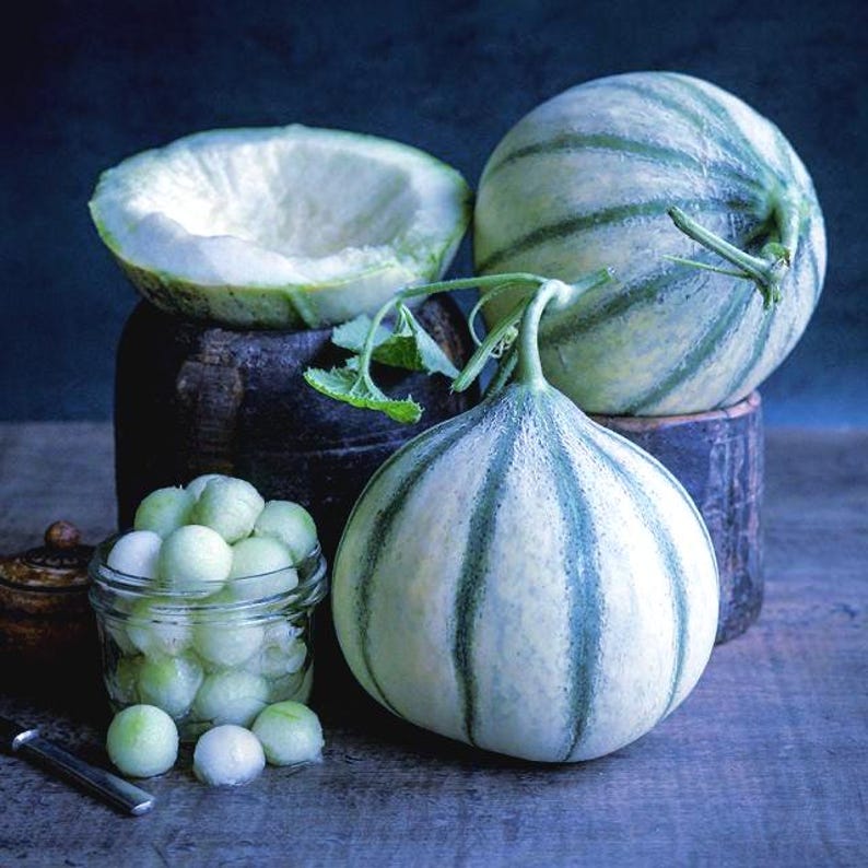 Mahdu RARE Hara Mahdu Melon Plants Free Shipping! - Organic Easy-grow Vine ...