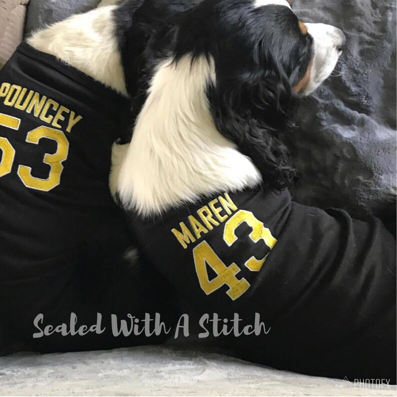 saints jersey dog