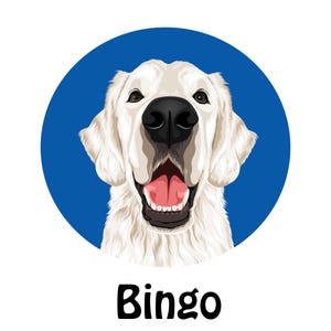 Retrato de mascota personalizado: arte vectorial de dibujos animados personalizado para aniversarios, cumpleaños y conmemoraciones.