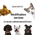 Infiniteartus : Modification Services