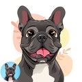 Personalized Cartoon Pet Portrait: Custom Digital Illustration from Photo - Unique Gift for Cat & Dog Lovers
