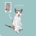 Custom Cartoon Full body Pet Portrait | Personalized Vector Art (Digital Download) product logo
