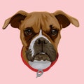 Personalized Cartoon Pet Portrait: Custom Digital Drawing of Dog or Cat Head for Memorial or Gift  Head Only