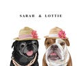 Personalized Cartoon Pet Portrait: Digital Dog & Cat Illustrations from Photos - Unique Gift for Animal Lovers (head to chest)