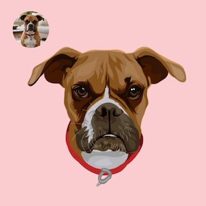 Puede incluir: Ilustración digital de la cabeza de un perro Boxer, con pelaje marrón y marcas blancas en la cara y el pecho. El perro lleva un collar rojo con una etiqueta plateada sobre un fondo rosa claro. Una imagen más pequeña del perro está en la parte superior izquierda.