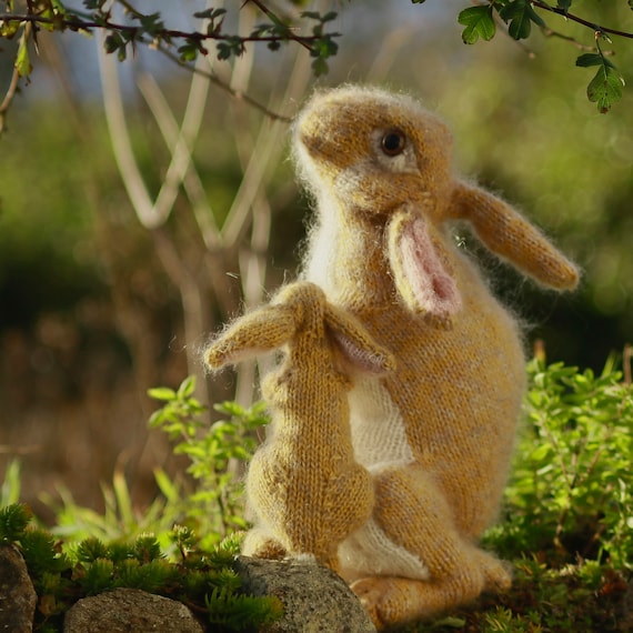 Bunny Rabbit KNITTING KIT Moon Hares - Guess How Much I Love