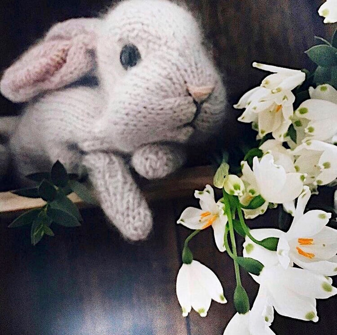 Holland Lop Knitting Kit: Alpaca Mohair Bunny Rabbit - Dot Pebbles ...