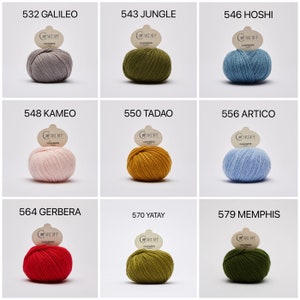 2024 New Shades Cardiff Cashmere yarn dk Classic 100% made in Italy ethical sustainable luxury knitting crochet wool image 3