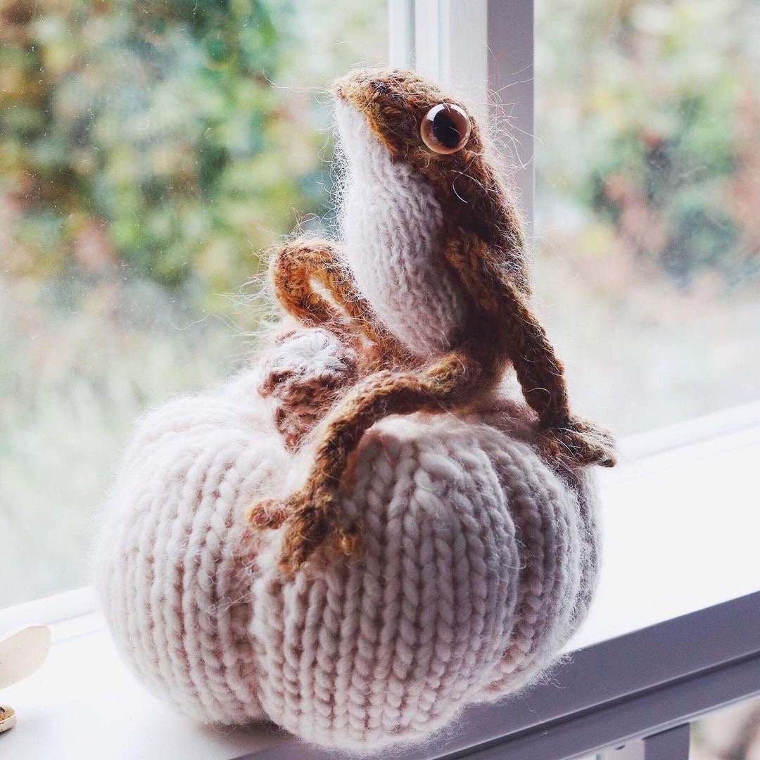 Three Frogs KNITTING KIT Claire Garland Dot Pebbles Knits Collaboration