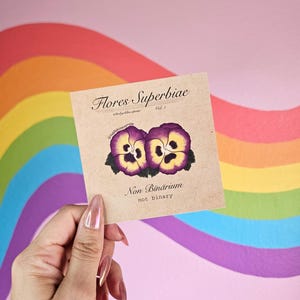 May include: A square card with the text "Flores Superbiae" and "Non Binarium not binary" printed on it. The card features a watercolor illustration of two purple and yellow pansies. The background is a pink wall with a rainbow.