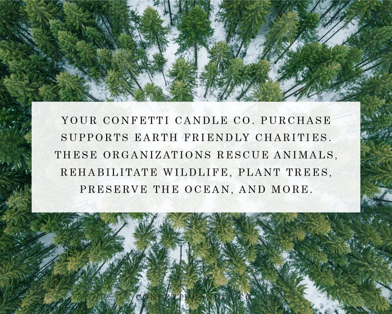 Red Lipstick Candle Natural Soy Wax Cherry Scented Vegan image 3