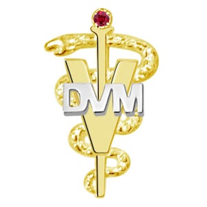 DVM Doctor of Veterinary Medicine Pin in 14K Yellow & White Gold
