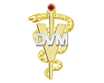 DVM Doctor of Veterinary Medicine Pin in 14K Yellow & White Gold
