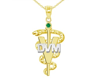 DVM Veterinarian Graduation Necklace in 14K Yellow and White Gold