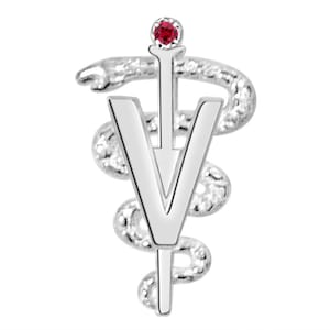 DVM Veterinarian Graduation Pin - Silver