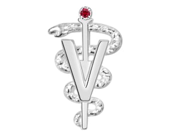 DVM Veterinarian Graduation Pin - Silver