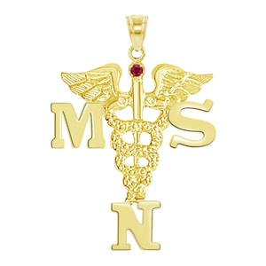 Magister pielęgniarstwa MSN 14K Charm