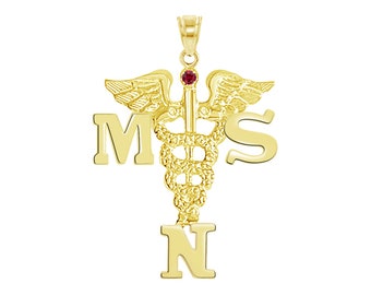 Master of Science Nursing MSN 14K Charm
