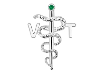 Vet Tech VT Graduation Pins Silver Gifts